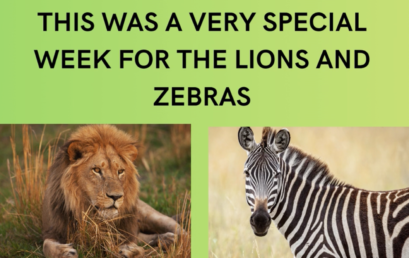A very special week for Lions & Zebras – Nordelta Kinder